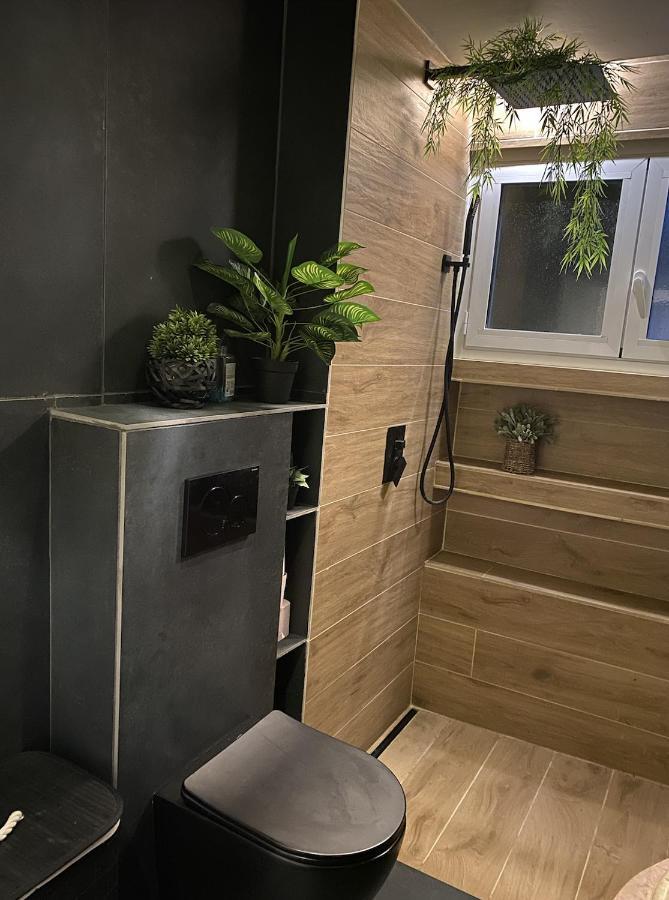 Maison Lyon-Bron Eurexpo - Stadium Groupama Daire Dış mekan fotoğraf